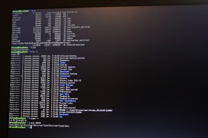 Linux Shell
