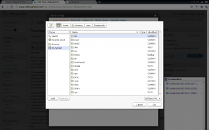 file system