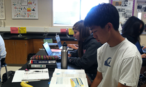 Twenty high schoolers, including junior Stephen Ting, that achieved the highest marks on the National Chemistry Olympiad have been invited to study chemistry at a camp held at the US Air Force Academy in Colorado this summer. The top four students at the camp will represent the United States in the International Chemistry Olympiad. Photo by Kevin Tsukii
